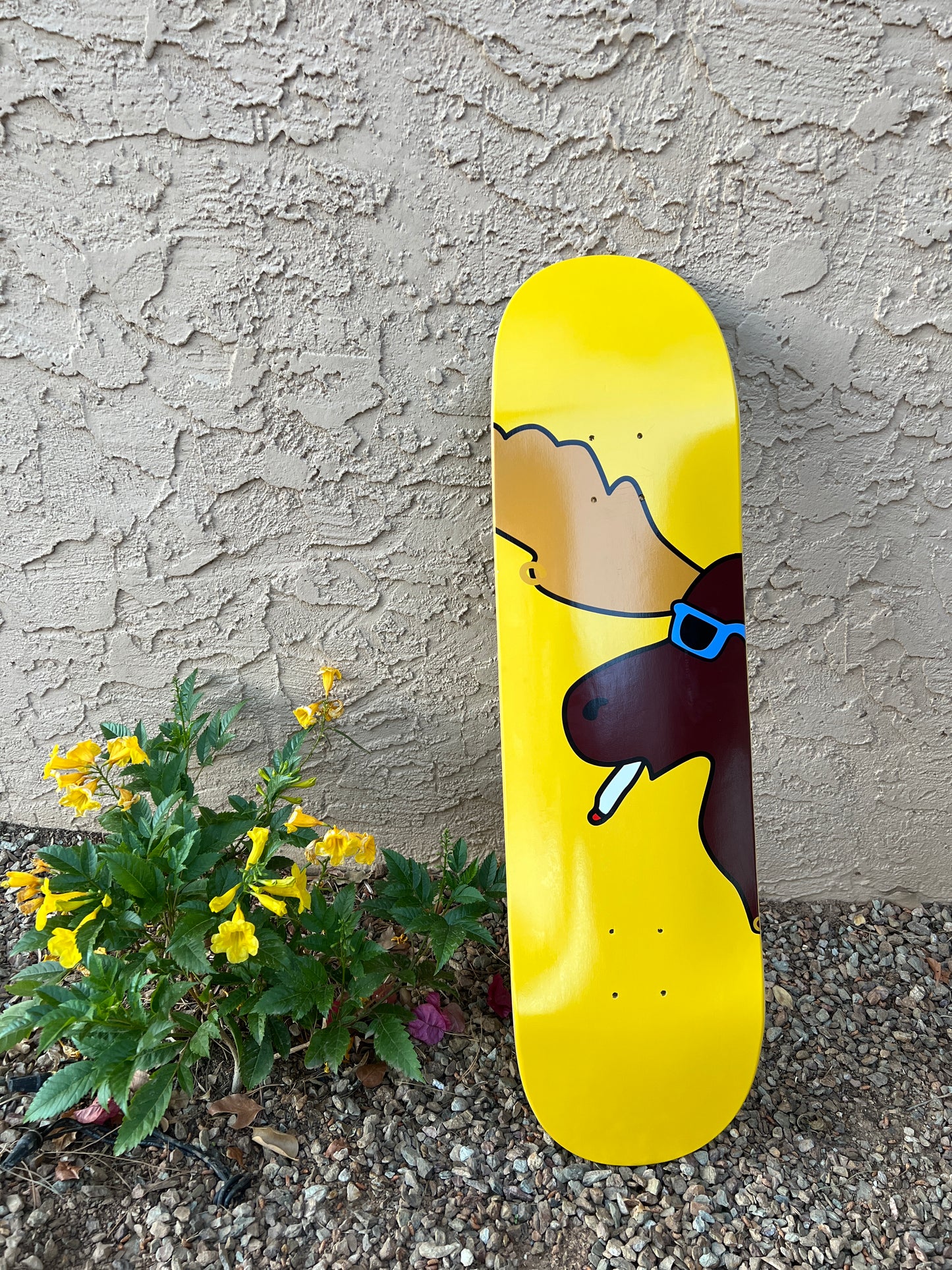 Hoose Moose Skateboard – First Edition (Limited to 54)